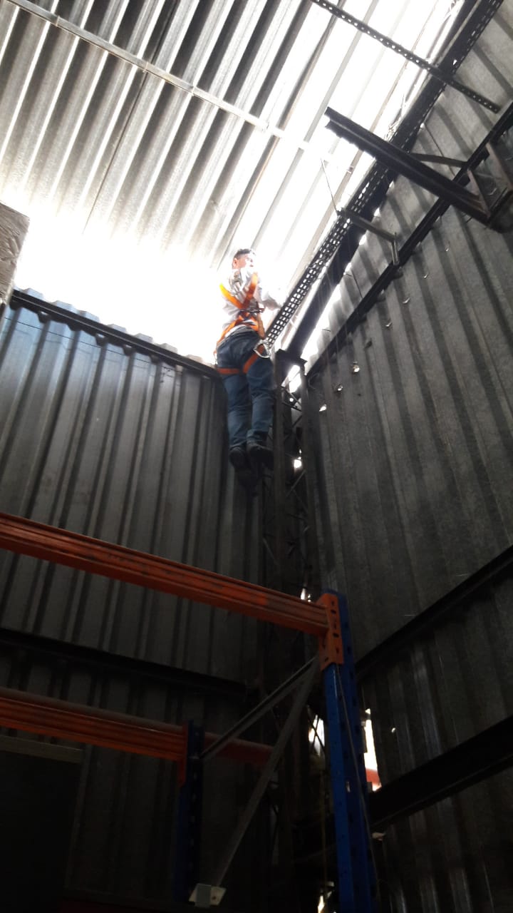 Controle de pombos